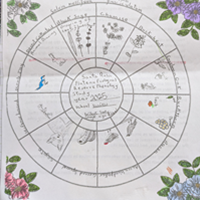 Phenology wheel drawing of seasonal plant and animal activity