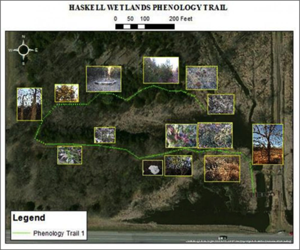 Wakarusa Wetlands Phenology Trail map