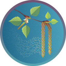 Pollen Trackers badge