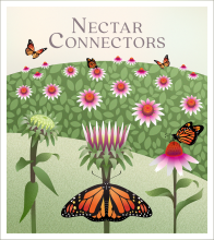 Nectar Connectors Campaign badge with monarchs and cone flowers in a field