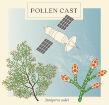 PollenCAST logo with juniper and satellite