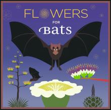 Flowers for Bats campaign logo with bats, saguaro and agave flowers